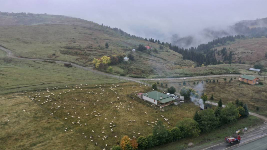 Karadeniz yaylalarında dönüş başladı: Çobanların sisli ve zorlu yolculuğu 2
